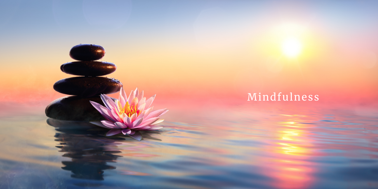 Mindfulness Techniques for Busy Lives: Finding Calm and Clarity in Your ...